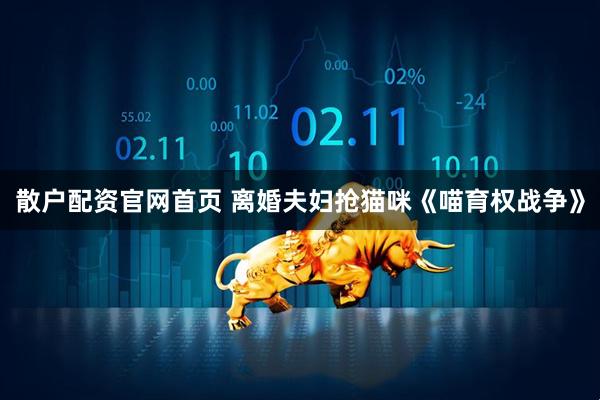 散户配资官网首页 离婚夫妇抢猫咪《喵育权战争》