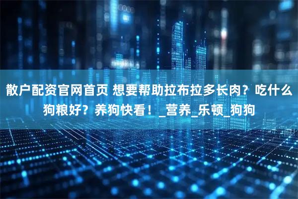散户配资官网首页 想要帮助拉布拉多长肉？吃什么狗粮好？养狗快看！_营养_乐顿_狗狗