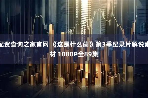 配资查询之家官网 《这是什么菌》第3季纪录片解说素材 1080P全89集