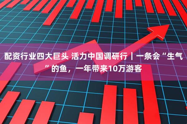 配资行业四大巨头 活力中国调研行｜一条会“生气”的鱼，一年带来10万游客