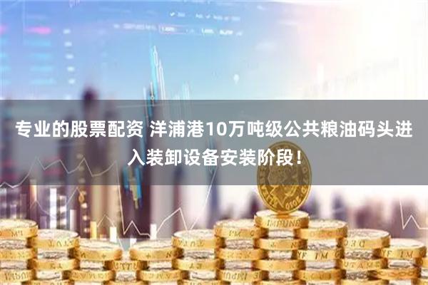 专业的股票配资 洋浦港10万吨级公共粮油码头进入装卸设备安装阶段！
